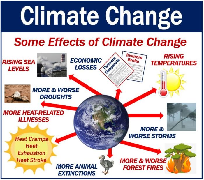 Glossary seas diseases landscapes extinction