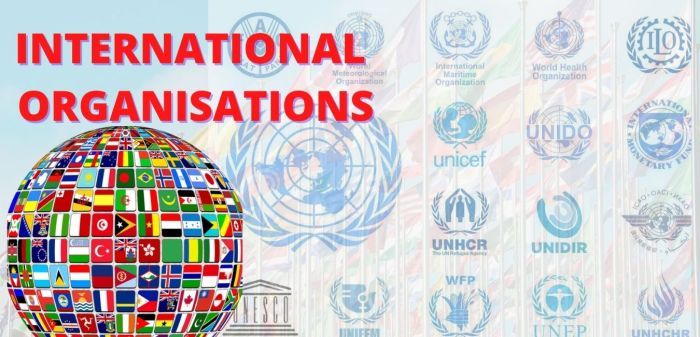 Organizations international governmental ngos