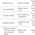 Reform agrarian carper definition law beyond rappler comprehensive carp