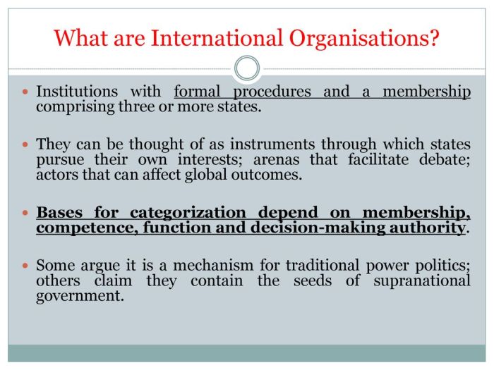 Apa itu organisasi internasional?