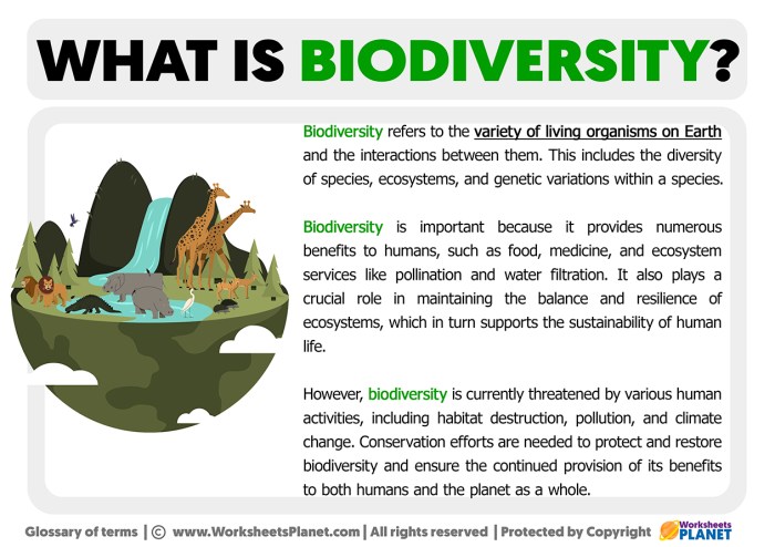 Biodiversity explain yale benefits experts infographic