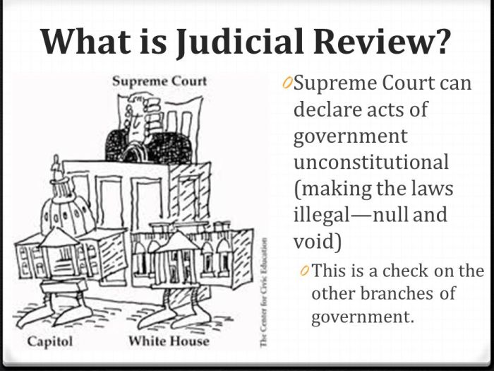 Apa itu judicial review?