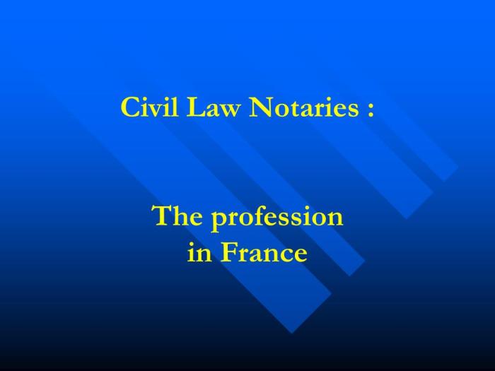 Notaries profession civil departmental