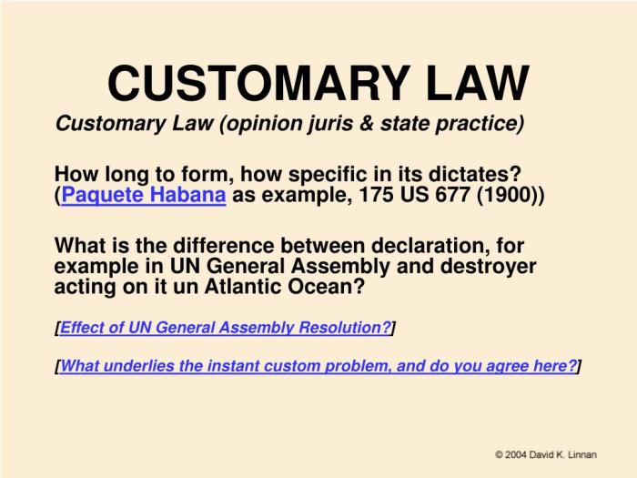 Customary environmental law international so not