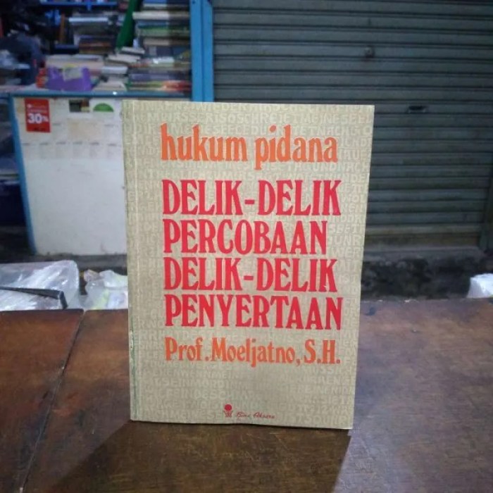 Apa yang dimaksud dengan delik?