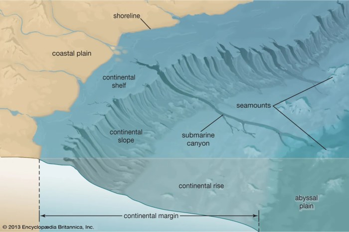 Shelf continental habitat ocean zones coastal wiki